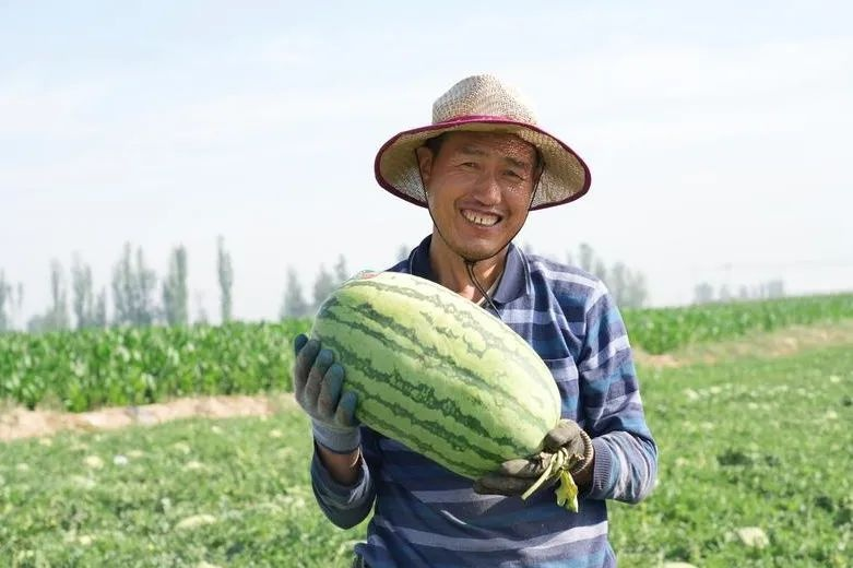 Earth watermelon planting technology video