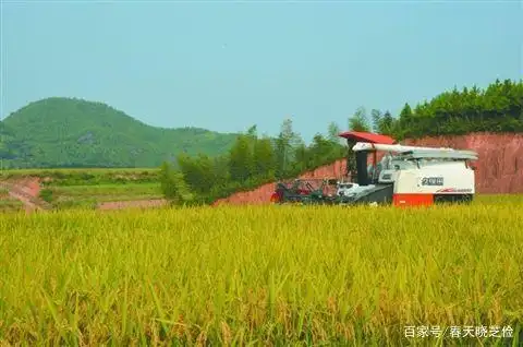 旱地水稻种植技术视频