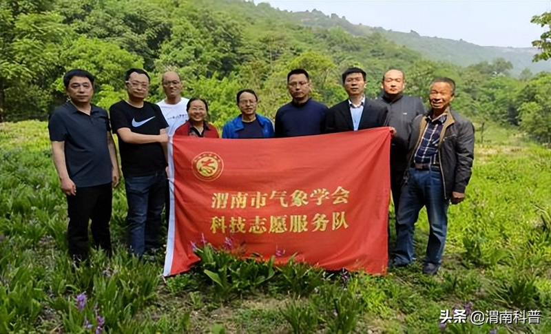 白芨的种植技术