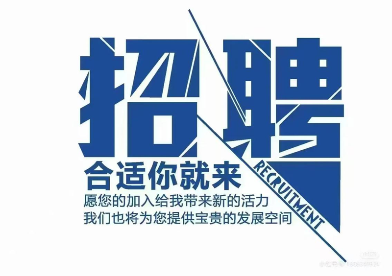 招聘网站排名2026