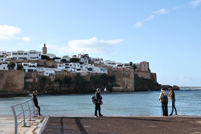 伊斯兰法近期特点