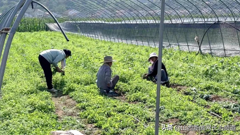 Cultivation methods involving turkish parties