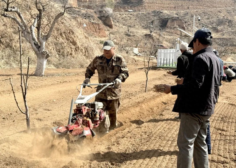 土党参的种植方法