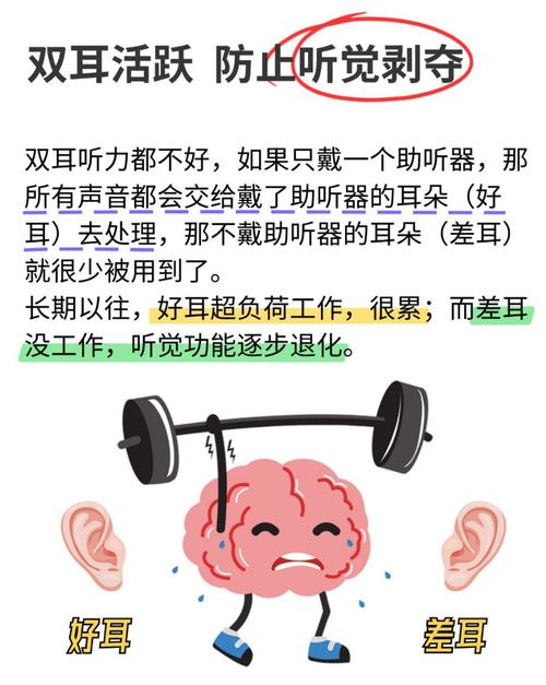 Hearing aid maintenance centre