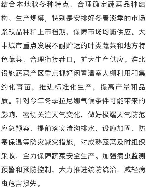 露地越冬西兰花种植技术