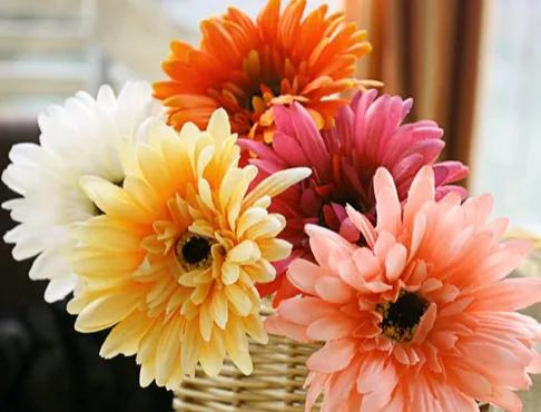 Arihiro plantation technology