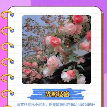 Methods of cultivation of seagull flowers