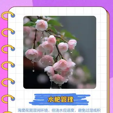 Methods of cultivation of seagull flowers