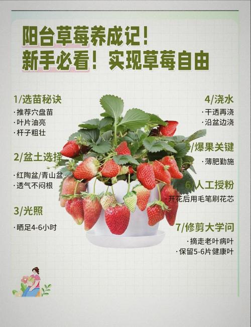 适合江苏种植的水果