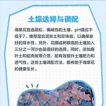 海棠花种植方法