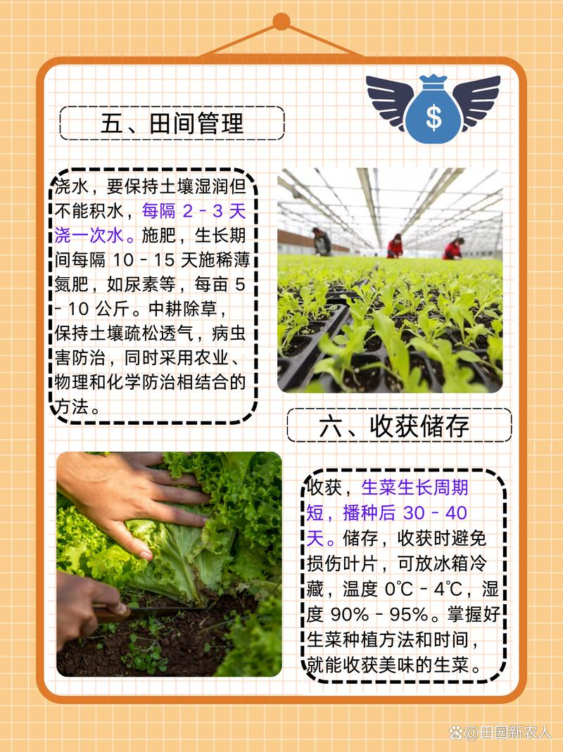 种植技术与经验