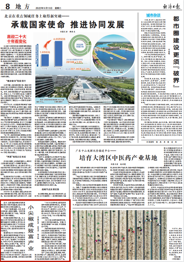 大棚尖椒种植技术