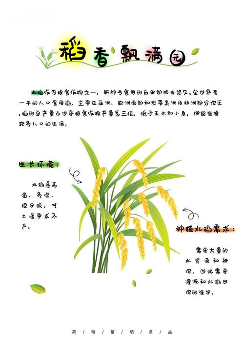 种植技术与经验