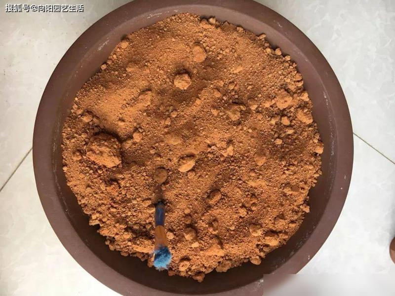 All the way to map the way the bowl is planted