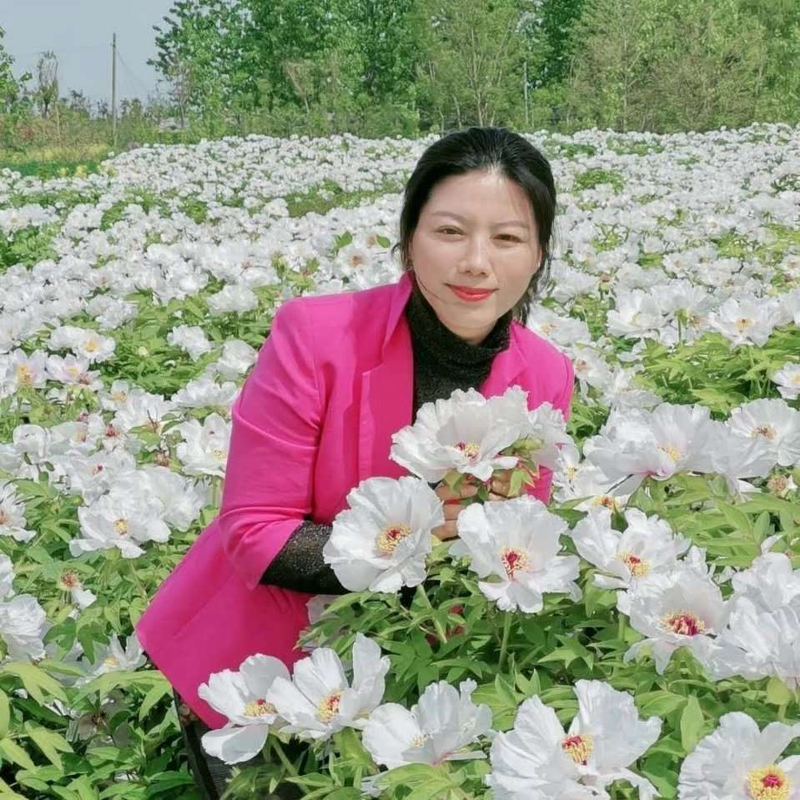 油牡丹种子的种植方法