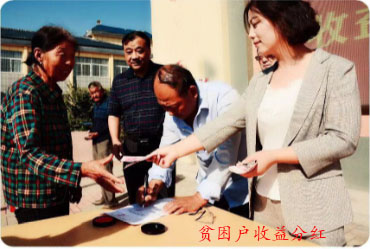 油牡丹种子的种植方法