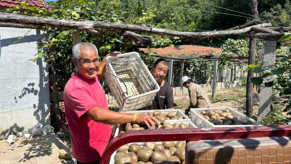 Shandong monkey farming technology