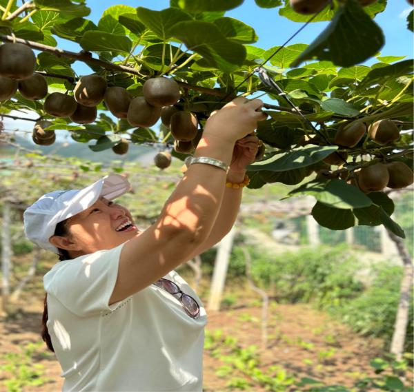 Shandong monkey farming technology