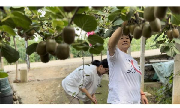 Shandong monkey farming technology