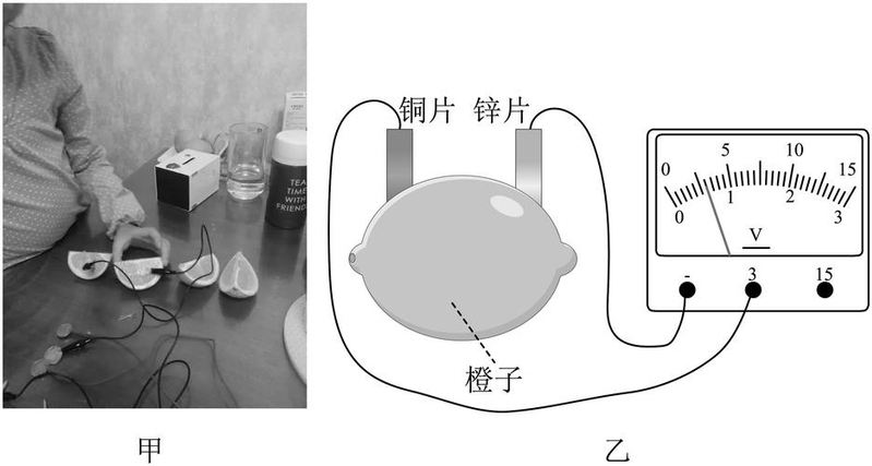 盐水制作干电池的原理