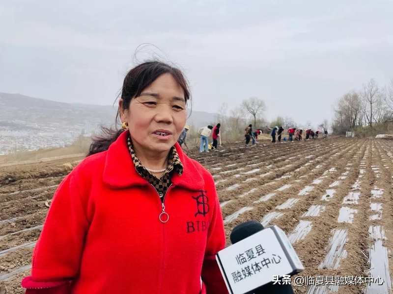 Cultivation methods involving turkish parties