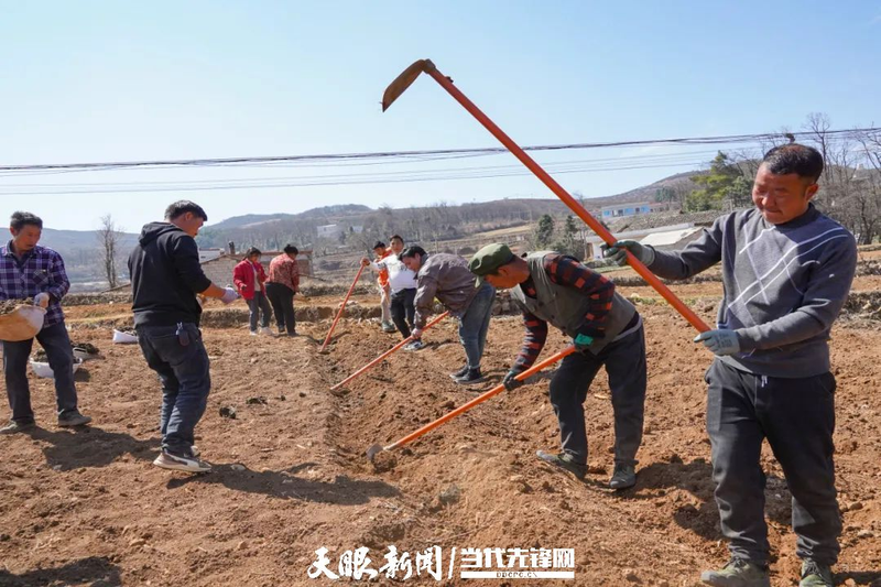 Cultivation methods involving turkish parties