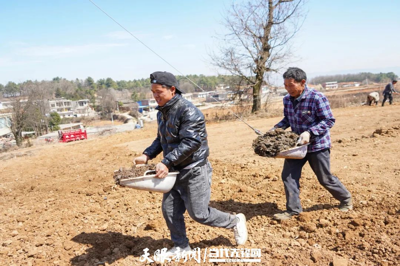 Cultivation methods involving turkish parties