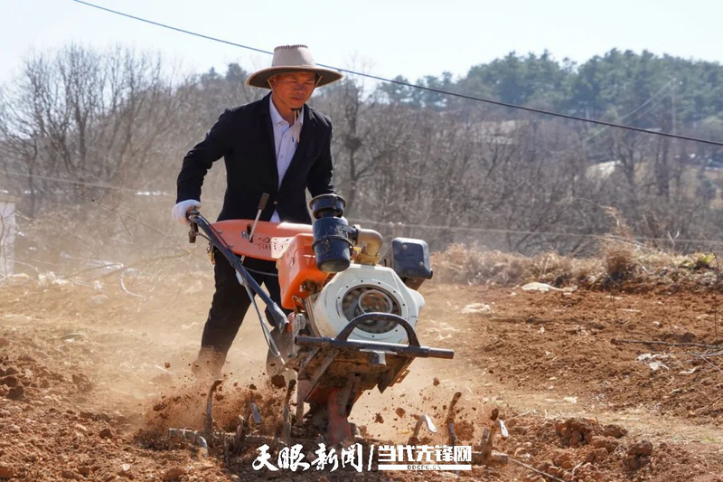 Cultivation methods involving turkish parties