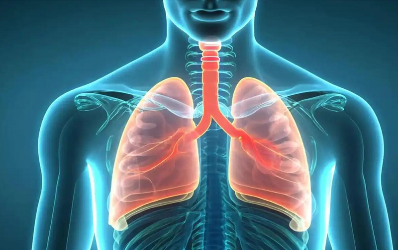 The answer to hubei's smoke control question