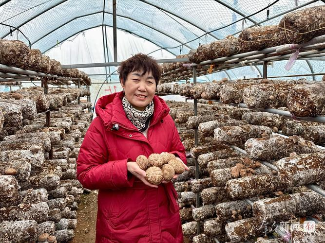 Black muir planting techniques