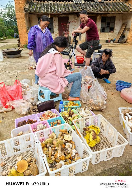 Black muir planting techniques