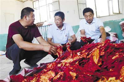 Pire-growing techniques in large sheds