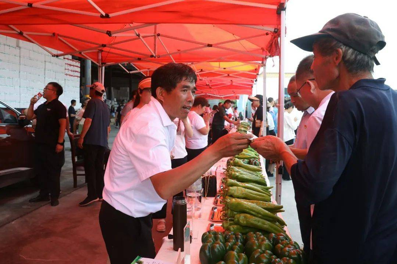 Pire-growing techniques in large sheds