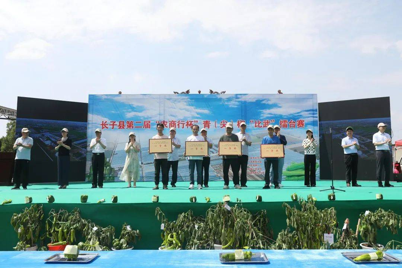 Pire-growing techniques in large sheds