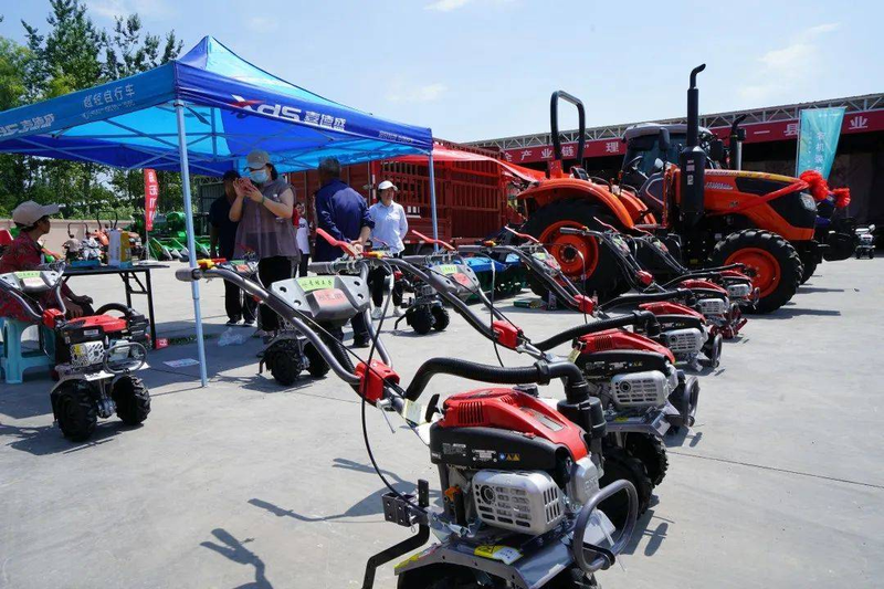 Pire-growing techniques in large sheds