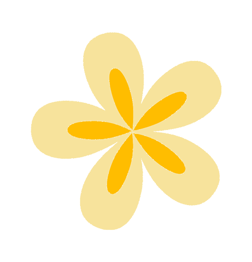 全程图解碗莲的种植方法