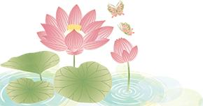 全程图解碗莲的种植方法