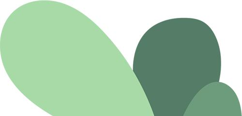 全程图解碗莲的种植方法