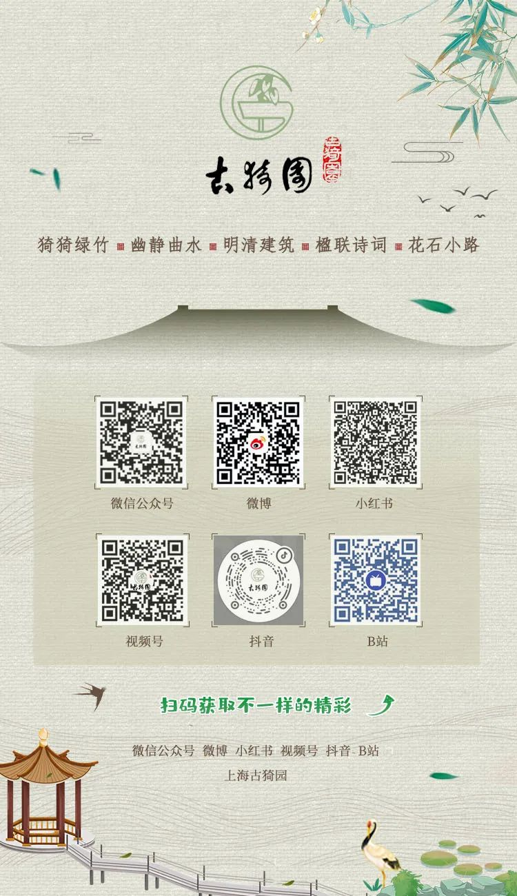 全程图解碗莲的种植方法