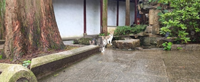 Feng shui knowledge of housing design