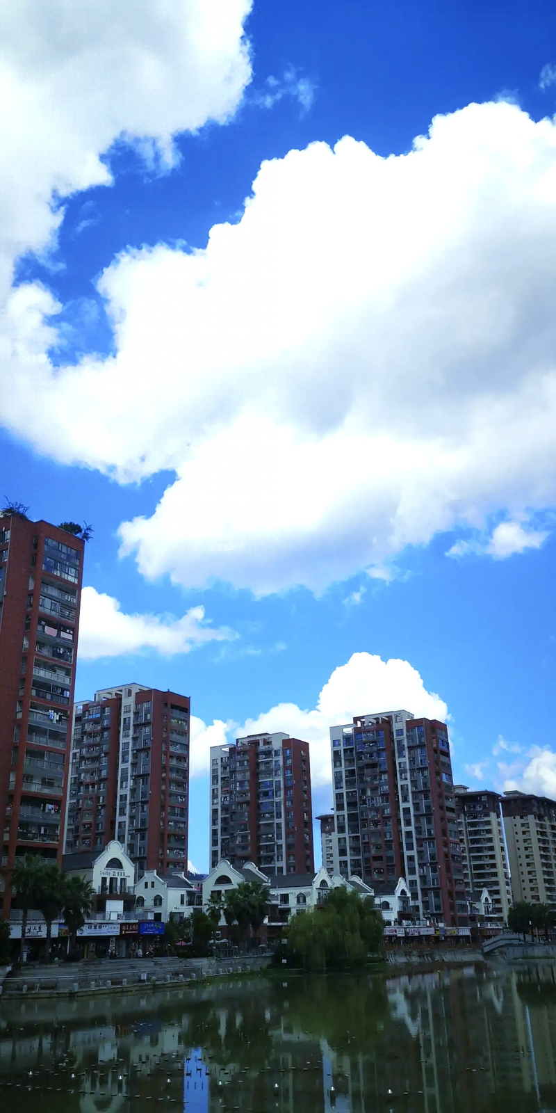 文明礼仪知识讲稿