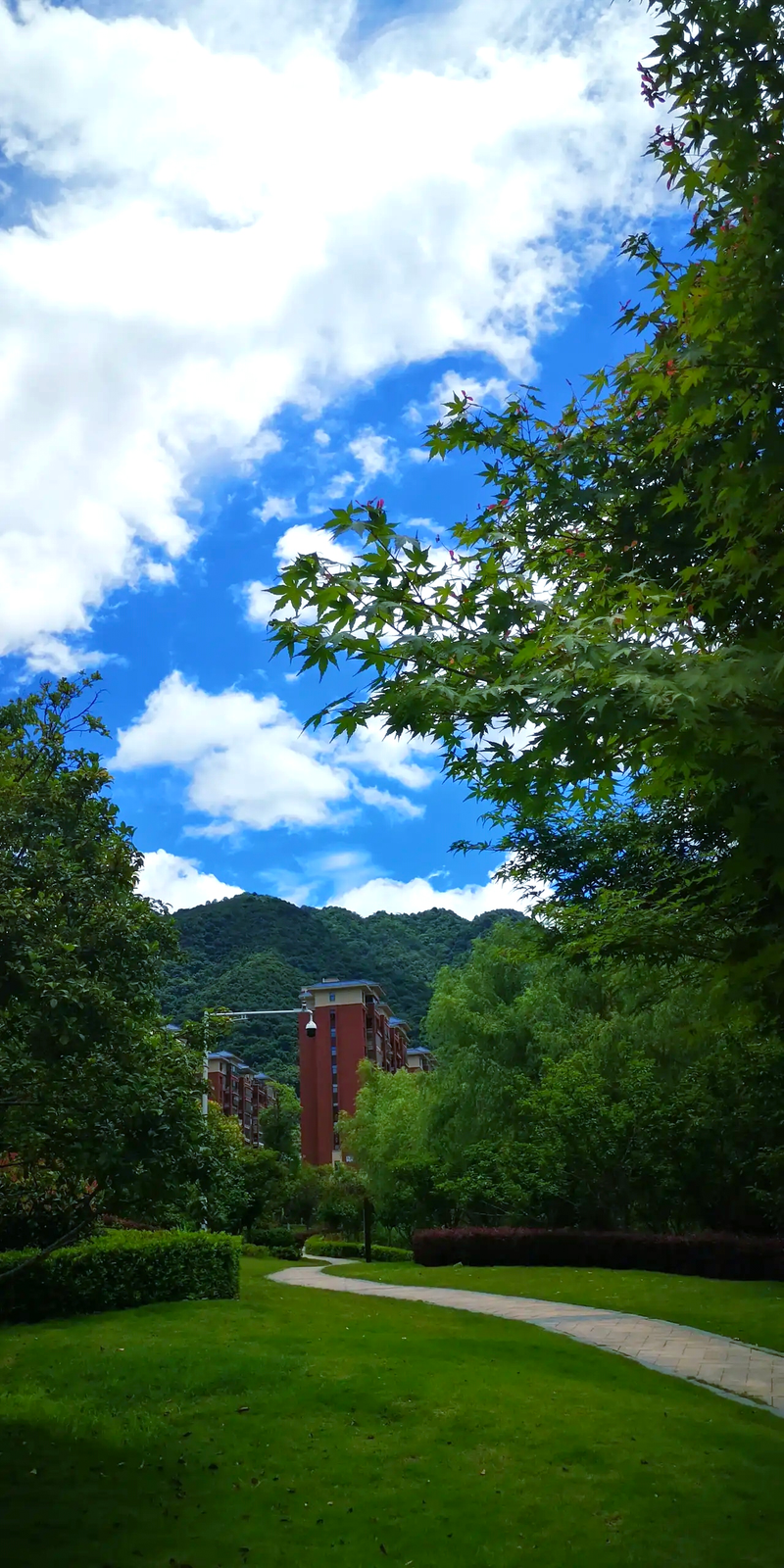 文明礼仪知识讲稿