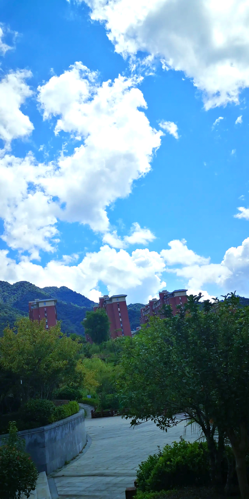 文明礼仪知识讲稿