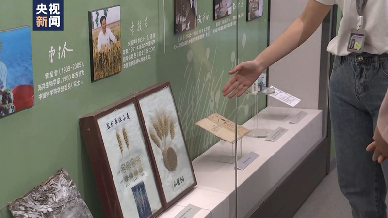 Wheat planting techniques