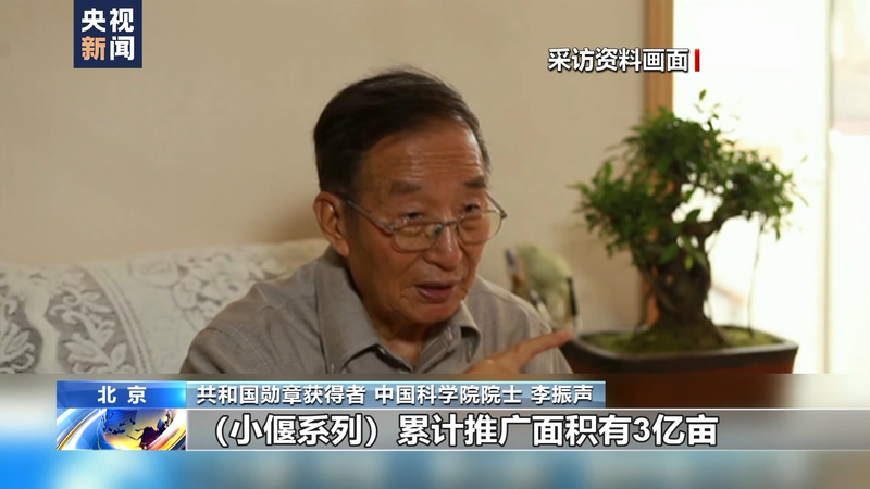 Wheat planting techniques