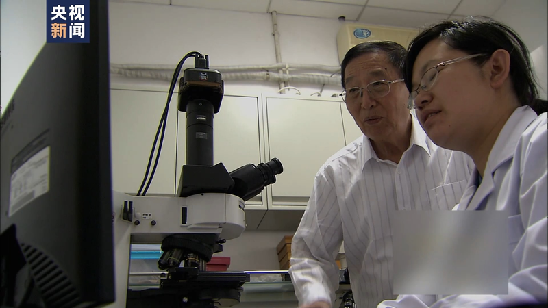 Wheat planting techniques