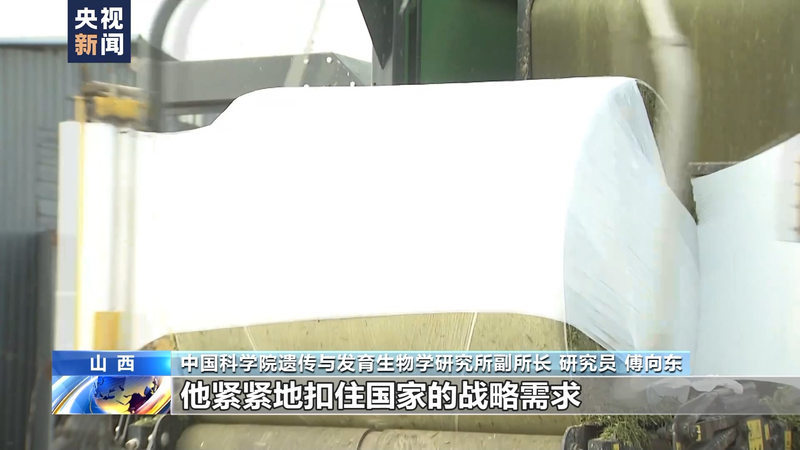 Wheat planting techniques