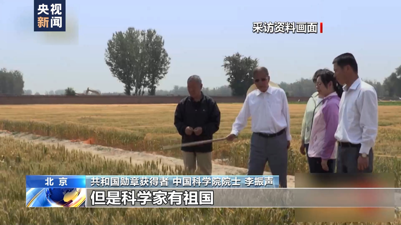 Wheat planting techniques