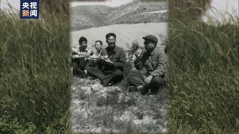 Wheat planting techniques