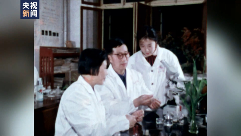 Wheat planting techniques